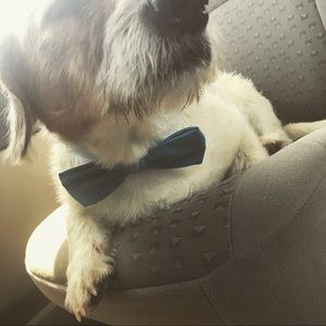 Meet your Posher, Kendra